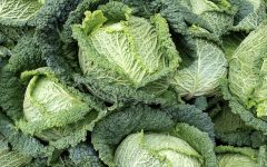 Wie man Brassicas aus Steckpflanzen anbaut