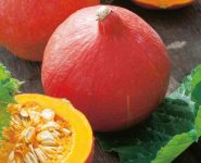 Warum es am besten ist, Kürbisse NICHT frisch zu essen